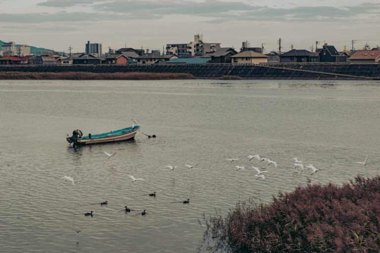 japanese countryside life
