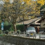 local japan lifestyle