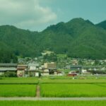 Japanese provincial folkways