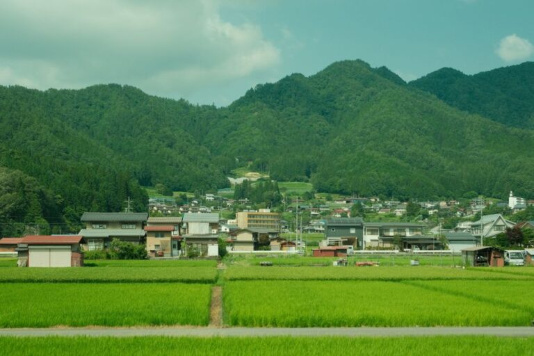 Japanese provincial folkways