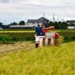rural japan traditions