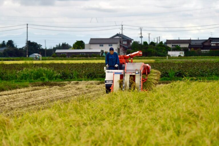 rural japan traditions