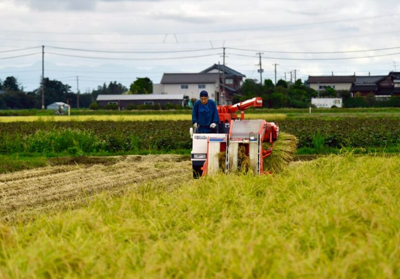 rural japan traditions